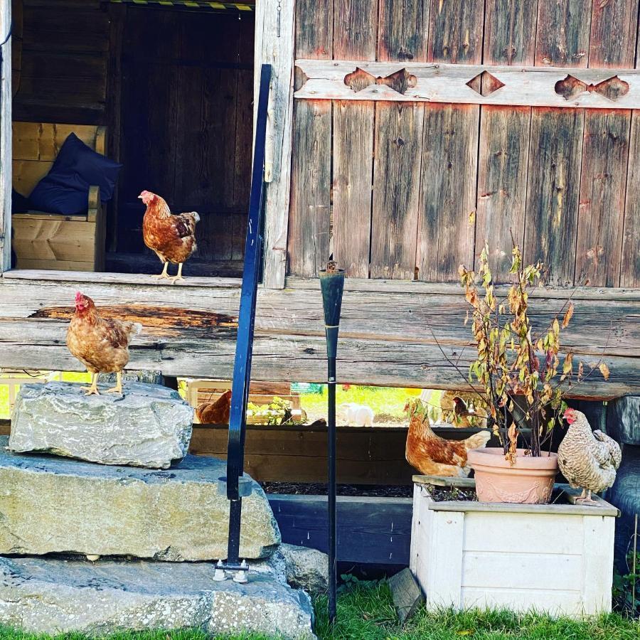 Apartmán Hesla Farm Gol Exteriér fotografie