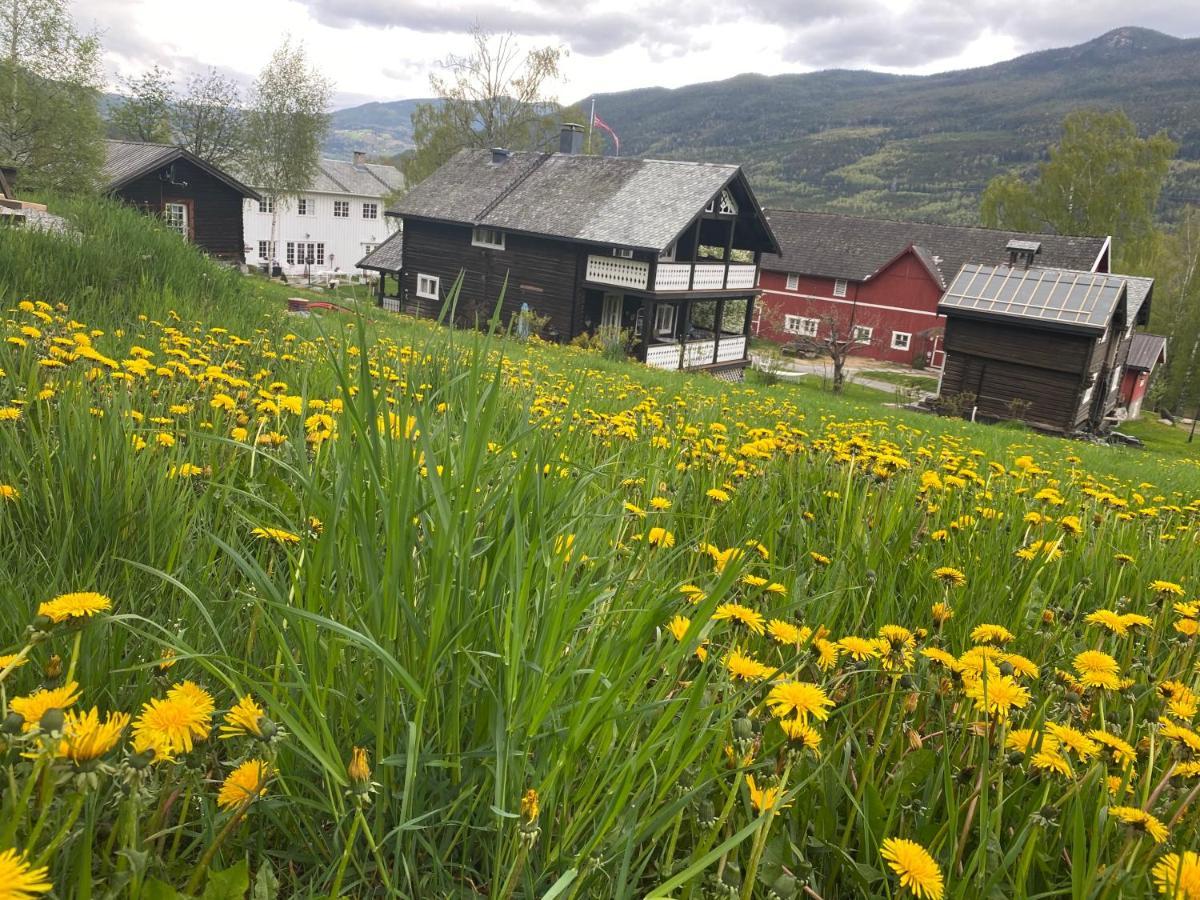 Apartmán Hesla Farm Gol Exteriér fotografie