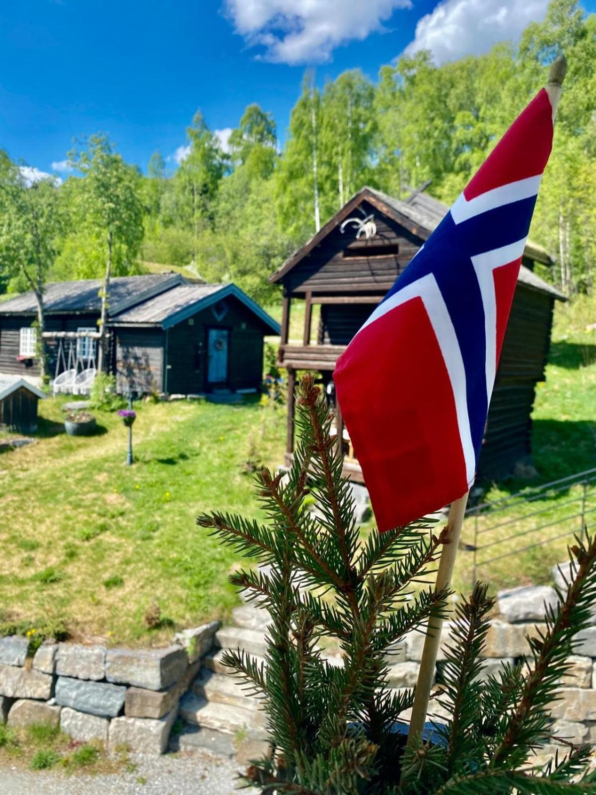 Apartmán Hesla Farm Gol Exteriér fotografie